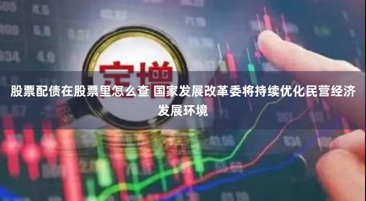 股票配债在股票里怎么查 国家发展改革委将持续优化民营经济发展环境