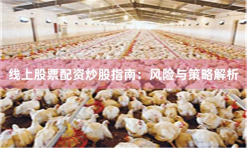 线上股票配资炒股指南：风险与策略解析